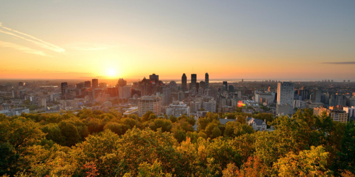 Prolongation des offres de l'OFQJ pour partir en Afrique, Canada & Caraïbes !