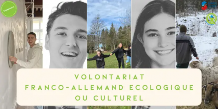 Allemagne : candidatures ouvertes pour le Volontariat franco-allemand écologique (VEFA) ou culturel (VCFA) !